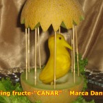 Carving fructe-CANAR.jpg (108 KB)